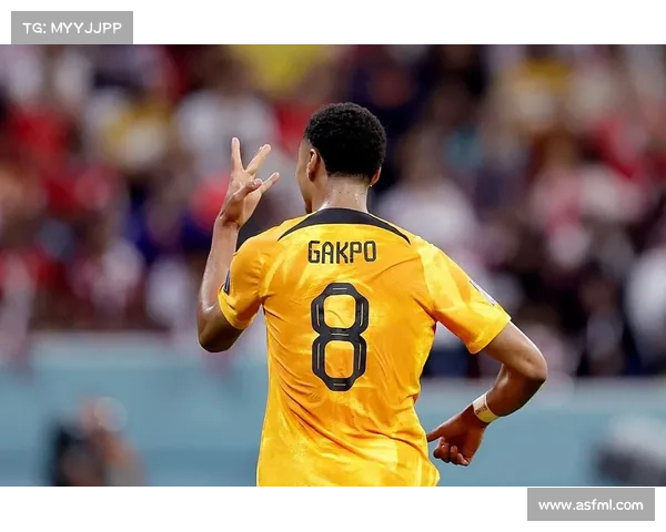 荷兰队加克波点射破门领先马耳他 肖手球未判点球争议